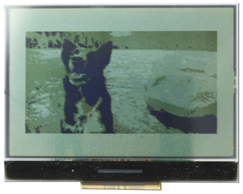 Image of a display showing a picture of a dog in front of a lake in grayscale
