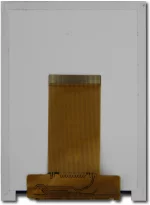 CFAF240320S-032T Rear View with folded FPC