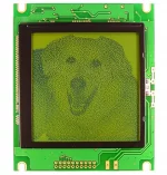 This is a monochrome dithered image with the backlight off. In this image each pixel is either on (100%) or off (0%).