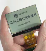 240x128 Monochrome Graphic LCD display, in hand to show size and perspective.