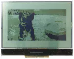 240x128 Low powere Graphic LCD with a breakout board attached. Showing 4-layer grayscale photo. 