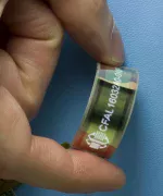 160x32 Flexible OLED display module. Front view, in hand for perspective.