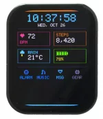 368x448 high density 1.93-inch full-color graphic OLED display module with capacitive touchscreen. Front view, powered on showing a fitness tracking interface. 