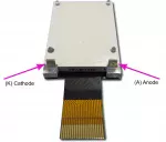 The CFAO4265A-TFK is a 1.0 42x65 dark on light gray LCD display �  back view, tail unfolded, A and K backlight connections labeled.