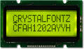 Sunlight Readable 12x2 Character LCD