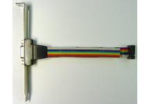 10 Pin to DB9 Cable WR-232-Y13 10 Pin to DB9 Cable WR-232-Y13