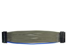 3.5-inch H1 Ribbon Cable WR-EXT-Y19 3.5-inch H1 Ribbon Cable WR-EXT-Y19