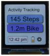 240x240 pixel, full-color TFT LCD. Shown as an Activity tracker. 240x240 pixel, full-color TFT LCD. Shown as an Activity tracker.