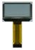 1.51 inch, transparent OLED display, back view, powered off