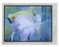 This CFAF480640A-035T is a 3.5 full color TFT display – front view, power on, folded tail, landscape orientation.