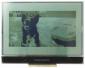240x128 Low powere Graphic LCD with a breakout board attached. Showing 4-layer grayscale photo. 