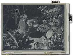 Sample Image With Touch Screen - CFA-10032 On Board