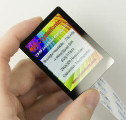 240x320 EVE Touchscreen TFT Module. In hand to show size and perspective.