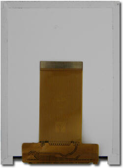 CFAF240320S-032T Rear View with folded FPC