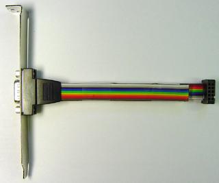 10 Pin to DB9 Cable (WR-232-Y13)
